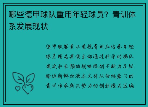 哪些德甲球队重用年轻球员？青训体系发展现状